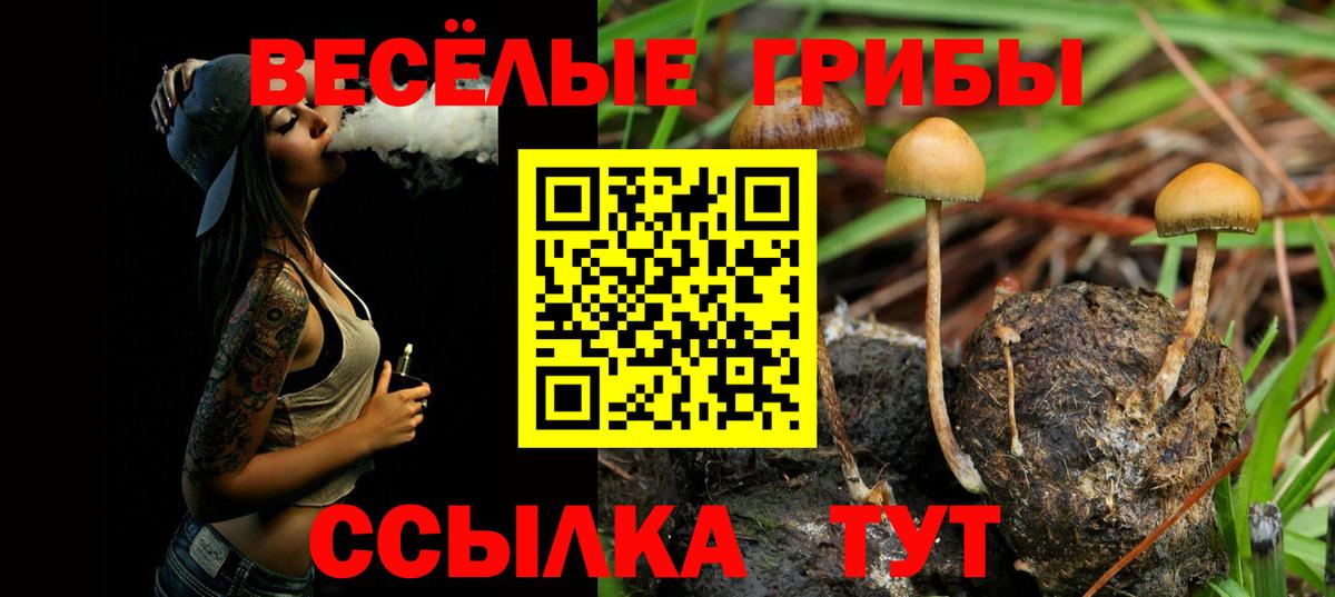 Урюпинск  Псилоцибиновые грибы ЛСД  Вход с VPN 